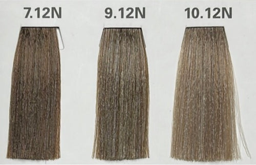 9.12N (WARM BEIGE BROWNS)  AEN COLOR PLEX 4.06 Fl. Oz./120ml.