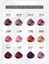 HAIR PASSION KIT 24 COLOR CREAM & 2 SWATCHBOOK 3.4 oz