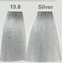 SILVER (COLD SUPER-LIGHTENERS)  NATURE COLOR PLEX 4.06 Fl. Oz./120ml.