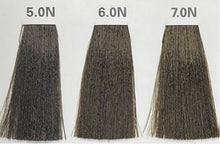 6.0N (INTENSE BASES)  AEN COLOR PLEX 4.06 Fl. Oz./120ml.