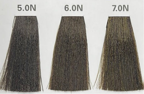 6.0N (INTENSE BASES)  AEN COLOR PLEX 4.06 Fl. Oz./120ml.