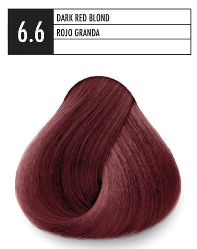 6.6 DARK RED BLOND JSENSE