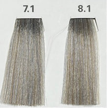 8.1 (LIGHT ASH)  NATURE COLOR PLEX 4.06 Fl. Oz./120ml.