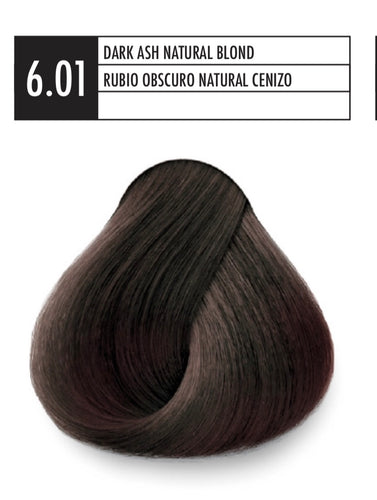 6.01 DARK ASH NATURAL BLOND JSENSE