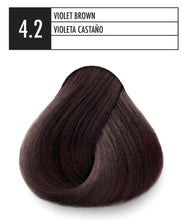 4.2 VIOLET BROWN JSENSE