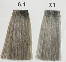 6.1 (LIGHT ASH)  NATURE COLOR PLEX 4.06 Fl. Oz./120ml.