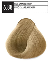 6.88 DARK CARAMEL BLOND JSENSE